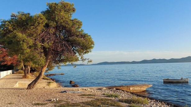Vistes a un llac amb una passera de formigó, un arbre i una barca.