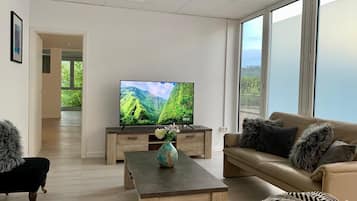 Televisión