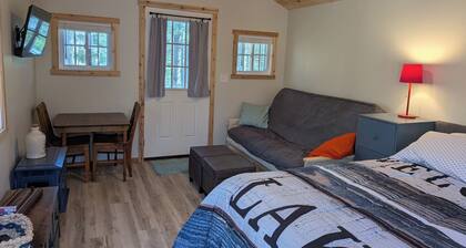 Delightful 1-bedroom cabin on private lake w/AC in Traverse City, pet friendly