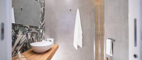 Shower, hair dryer, bidet, towels
