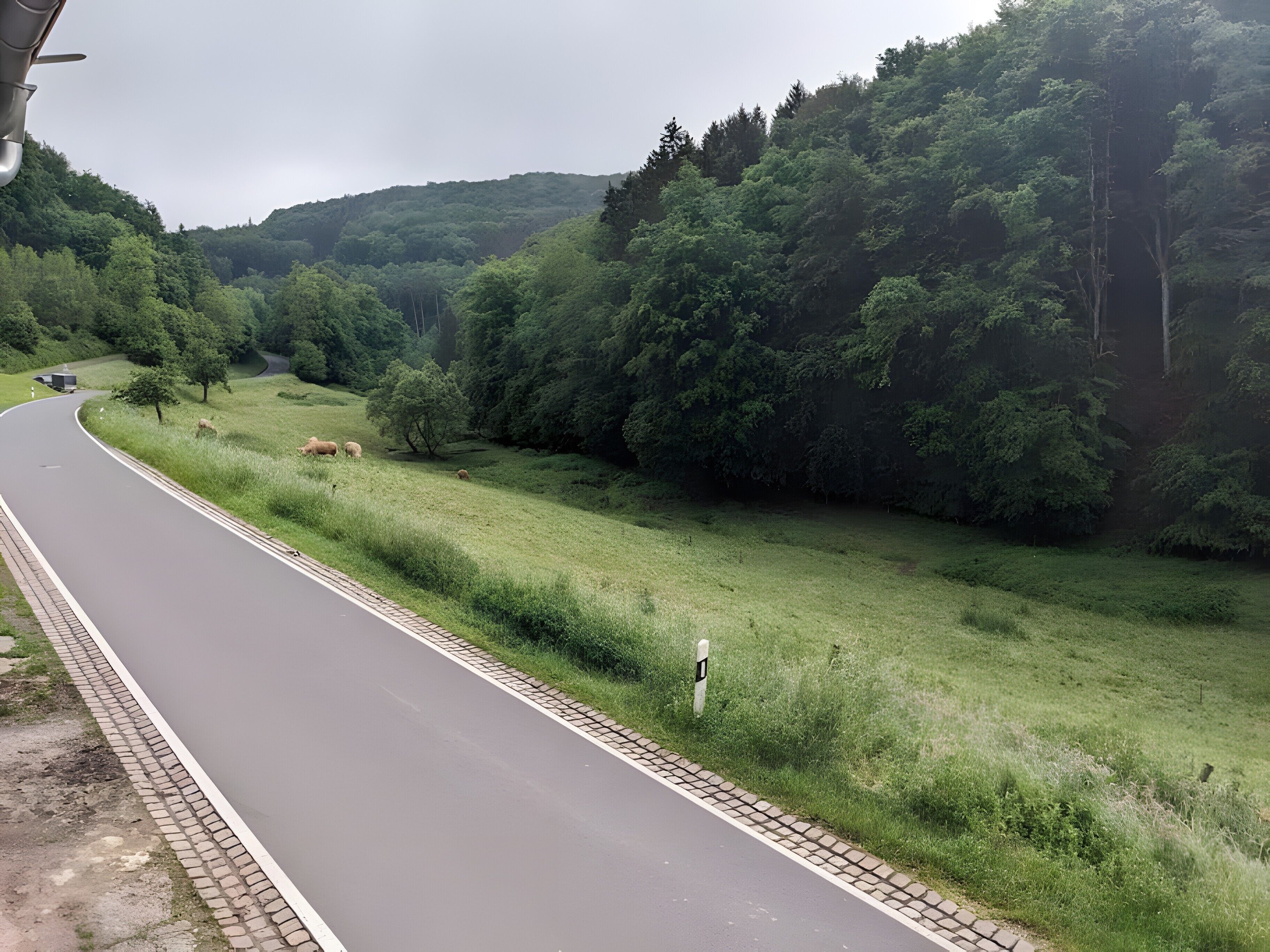 A road curving through a green landscape with trees and grass on both sides.