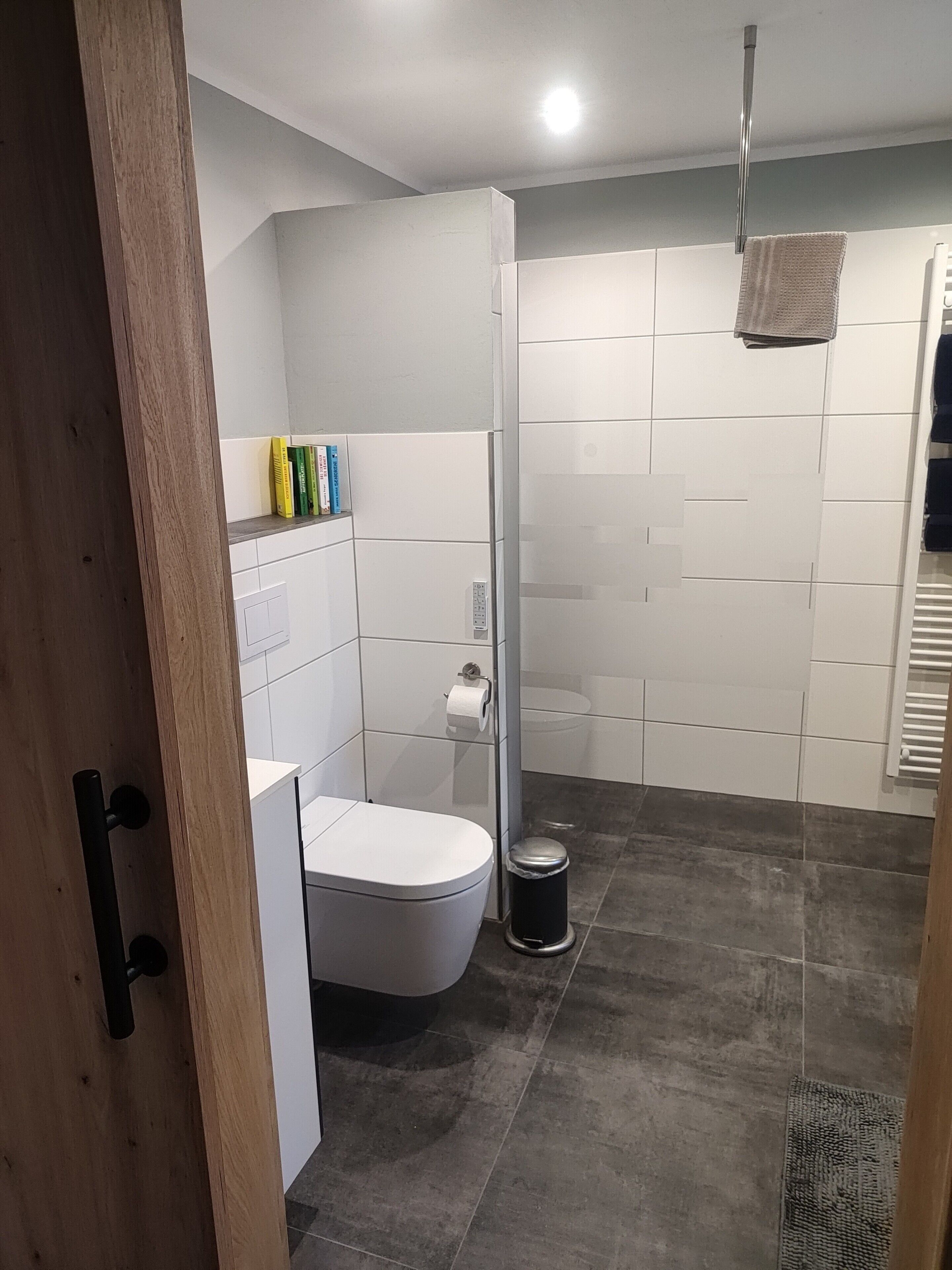 Chuveiro, secador de cabelo, toalhas de banho 