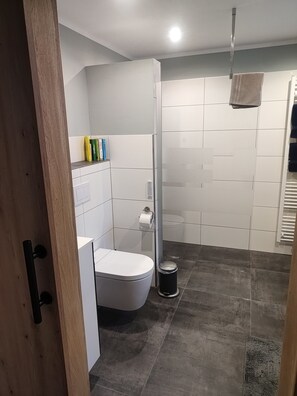 Ducha, secador de pelo y toallas