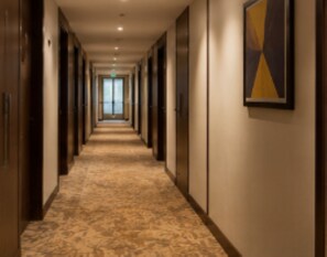 Interior - Hotel Avion Near IGI Airport Mahipalpur (New Delhi)