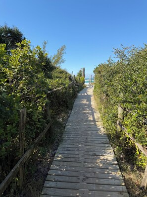 Ein hölzerner Steg führt zu einem Strand, umgeben von dichtem Grün.