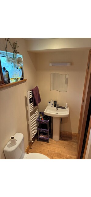 Séchoir à cheveux, serviettes fournies, savon, papier de toilette