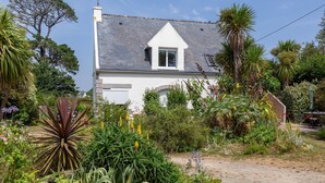 Une maison avec un toit en pente, une petite fenêtre triangulaire et un jardin où poussent différentes plantes, ainsi qu’un palmier.