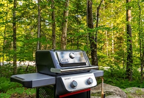 Property grounds - Private Nature Retreat – Quiet, Cozy, and Unplugged in Bethel, Maine (Bethel)