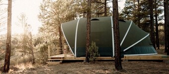 Cozy Glamping Tent with Heritage Orchard & Farm Animals near Mountainair in Torreon, New Mexico