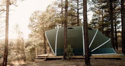 Cozy Glamping Tent with Heritage Orchard & Farm Animals near Mountainair in Torreon, New Mexico
