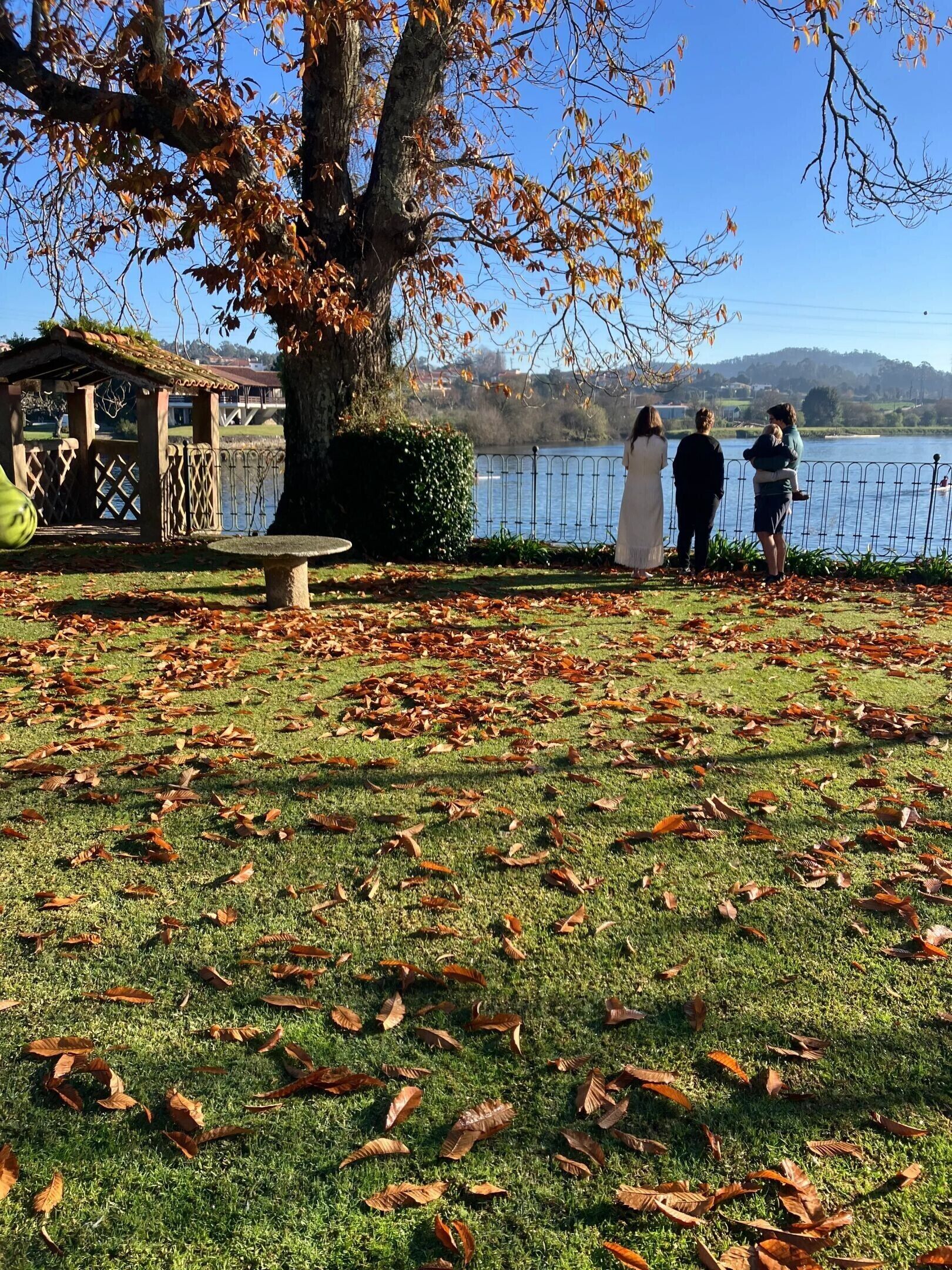 Parco della struttura