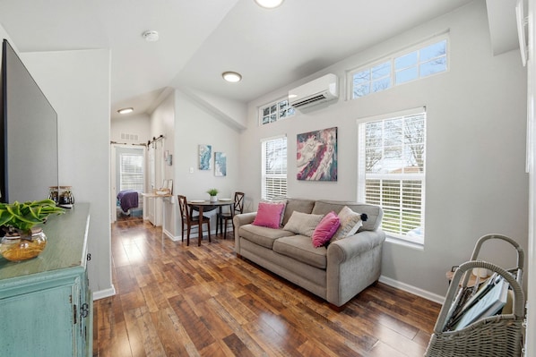 TV - Cozy, Pet Friendly Cottage with Gorgeous Outdoor Space for a Weekend Getaway to New Braunfels, Texas (New Braunfels)