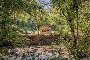 Property grounds - Vibrant Creekside Safari Tent Oasis near Smoky Mountain in Tennessee (Newport)