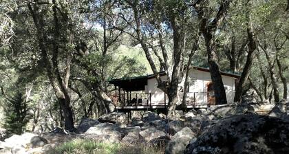Cozy Bell Tent with Valley Views and Off-Grid Glamping near Palomar Mountain California