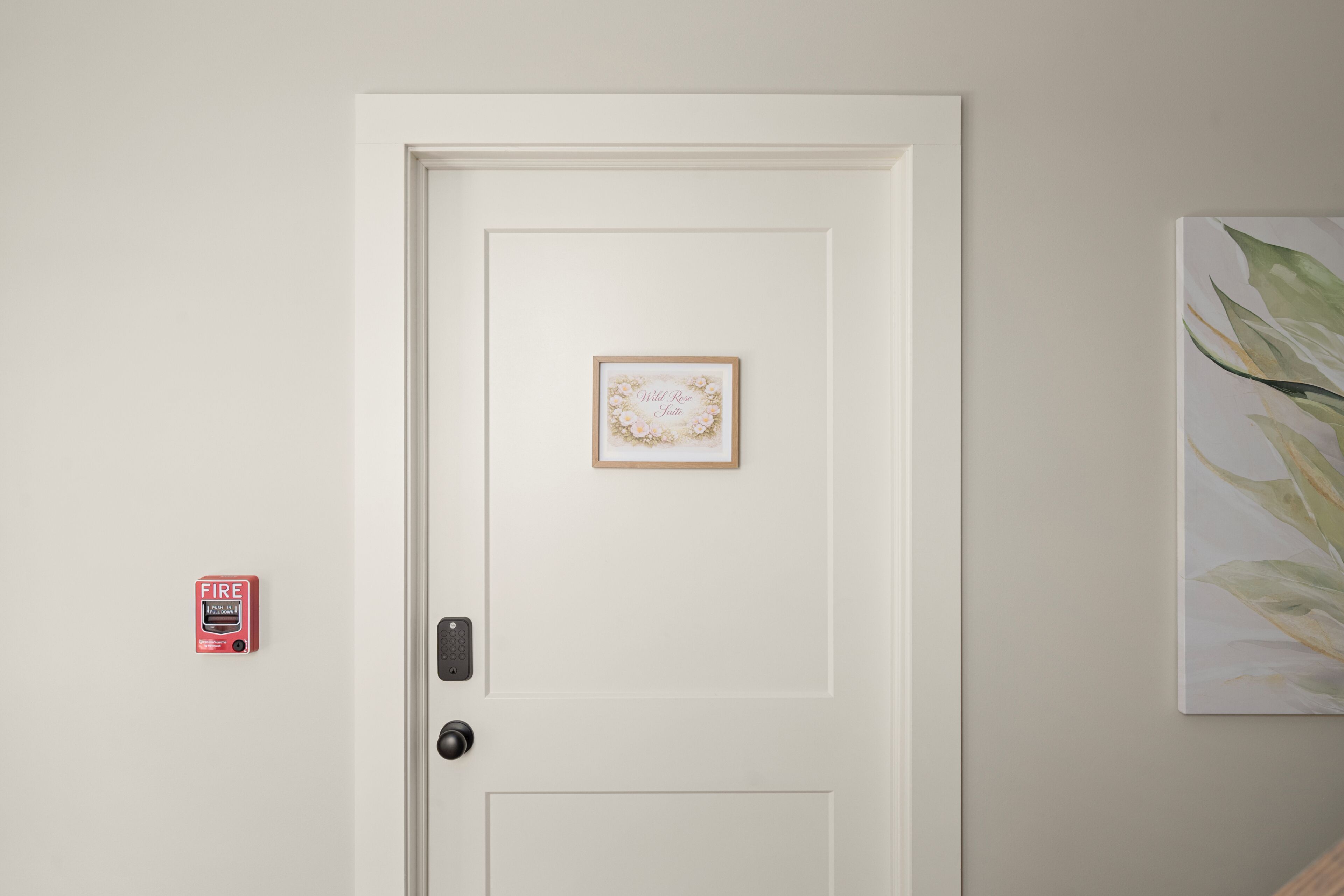 A white door with a framed picture, a fire alarm, and a wall-mounted artwork.