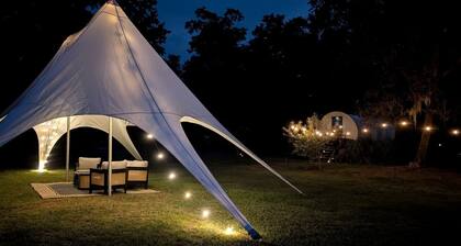 Soulful Glamping Experience with Highland Cows, Private Wagon & Nature in Melrose, Florida