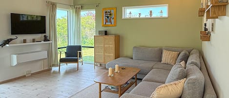 Smart-TV, Kamin