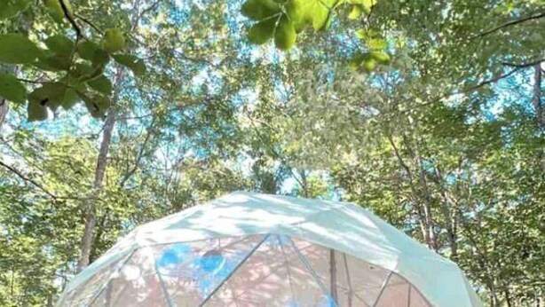 A dome-shaped tent with a transparent roof, supported by wooden stilts, set in a wooded area.