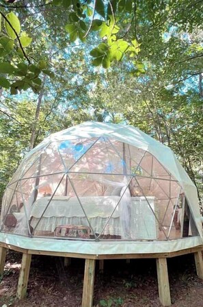 A dome-shaped tent with a transparent roof, supported by wooden stilts, in a forested area.