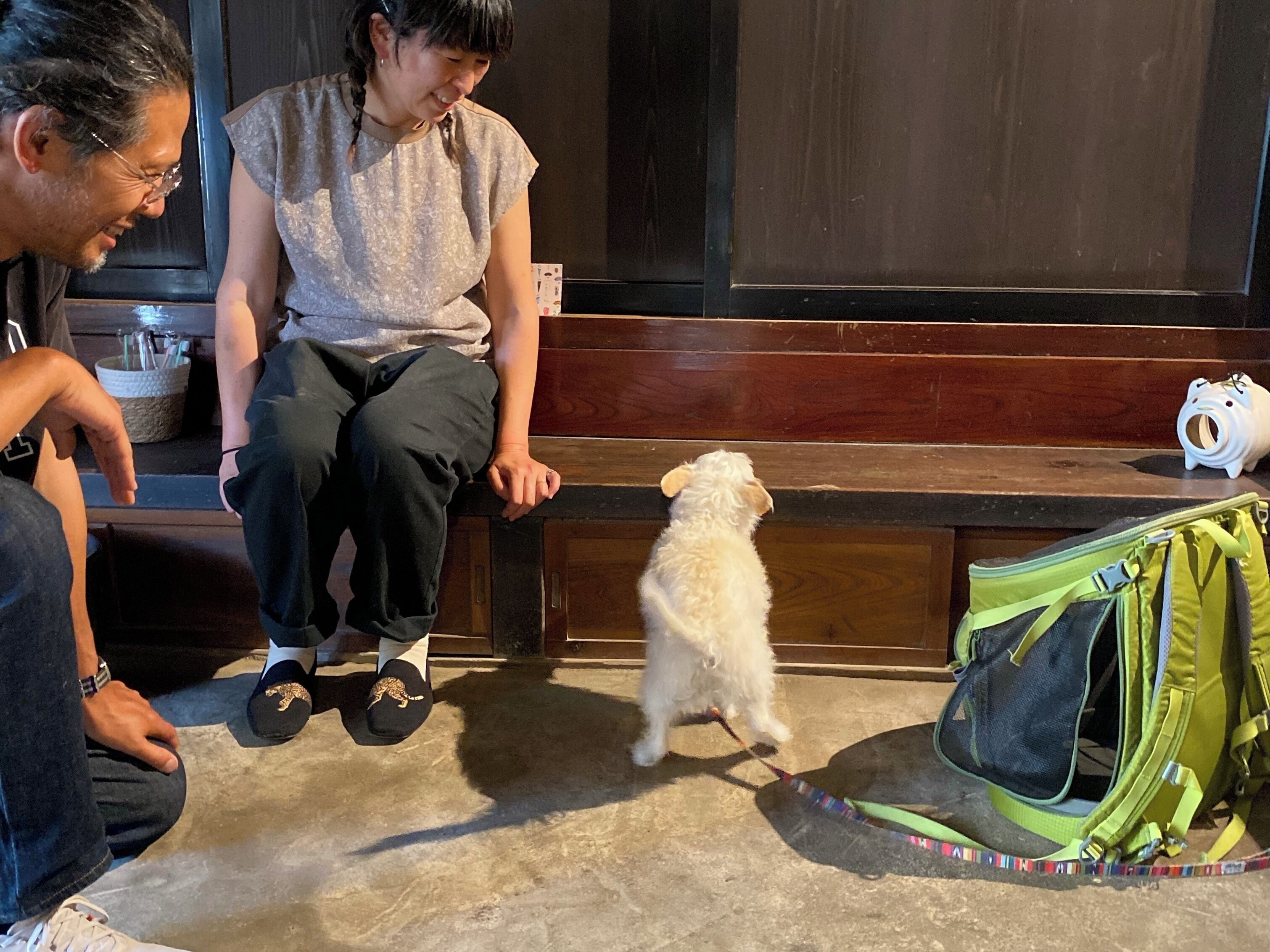 A person sitting on a bench with a small white dog on a leash, a green backpack on the ground, and a white pig-shaped object on the bench.