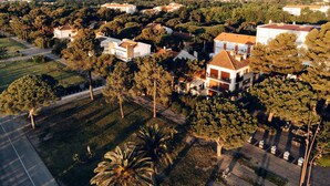Vista aérea de uma área residencial com casas, árvores e montanhas ao fundo.