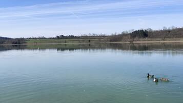 A calm lake with clear water, surrounded by a hilly landscape and a clear sky.