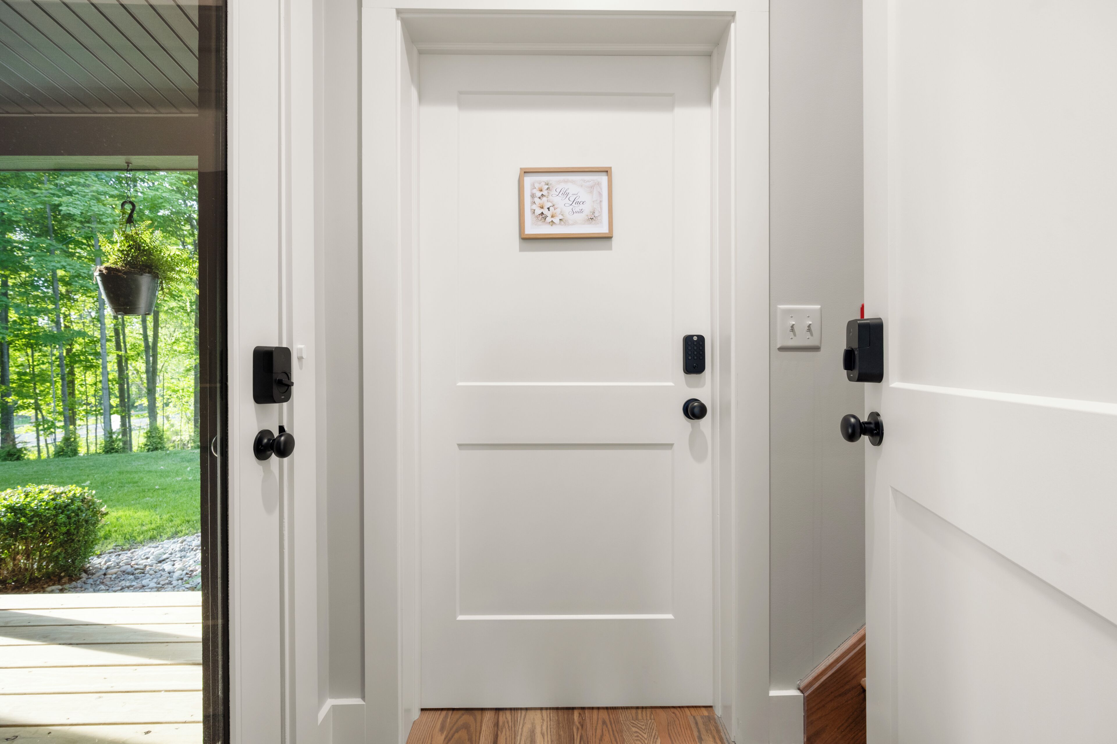 A white door with a picture frame, a potted plant, and a remote control on the wall.