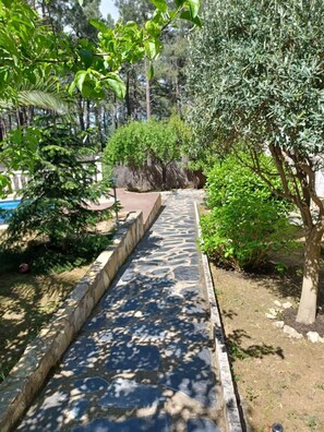 Ein gepflasterter Weg schlängelt sich durch einen Garten mit verschiedenen Bäumen und Sträuchern.
