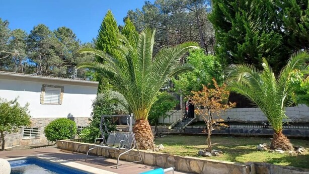 Ett bostadsområde med en swimmingpool, palmer och en vit byggnad med ett fönster.