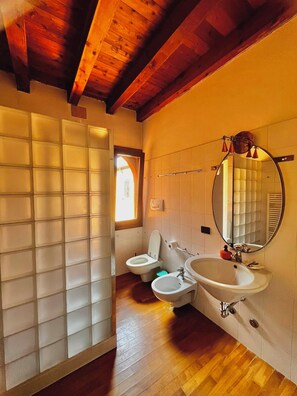 A bathroom with a wooden ceiling, a toilet, a sink, and a mirror. - Historic Palazzo with Pool & Castle View (Sanguinetto)