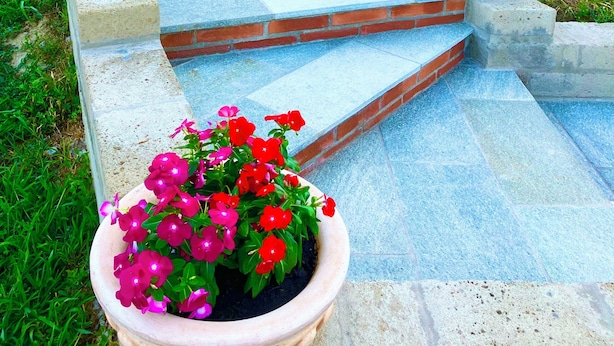 Stenen traptreden leiden naar een deuropening, met plantenpotten aan de voet.