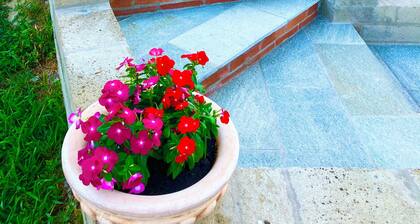Apartment in Villa with garden and private parking (Langhe Roero)