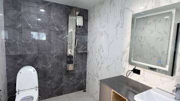 Shower, hair dryer, bidet, towels