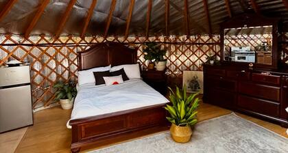 Creek Side Yurt, On-Site Sauna/Tea Shop/Market, Edge of Pisgah, Craggy Gardens