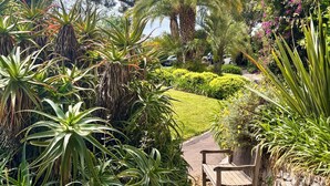 Camí de jardí amb una banca, envoltat de plantes i arbres diversos.
