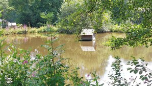 Een vijver met een houten constructie, omgeven door weelderige begroeiing en bomen.