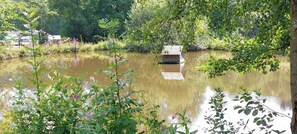 Ein Teich mit einer Holzkonstruktion, umgeben von üppigem Grün und Bäumen.