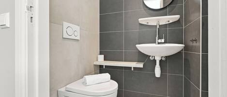 A modern bathroom with a toilet, sink, and mirror.