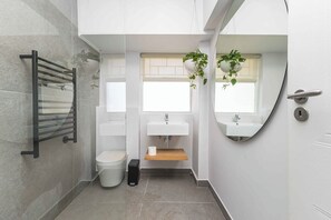 Secador de pelo, toallas, jabón y papel higiénico