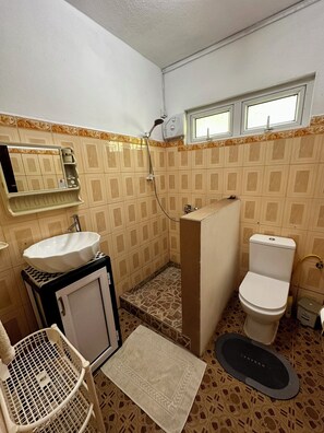 Shower, towels, soap, toilet paper