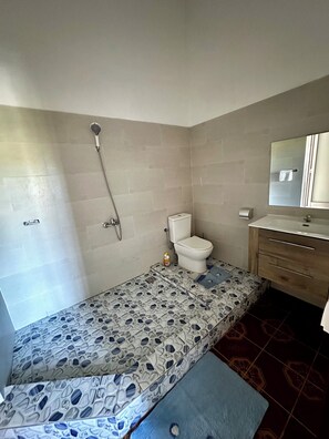 Douche, serviettes fournies, savon, papier de toilette
