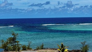 Une vue côtière donnant sur l’océan, avec un ciel dégagé et une végétation clairsemée.