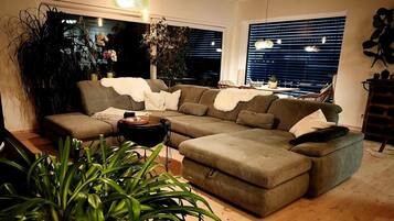 Fernseher