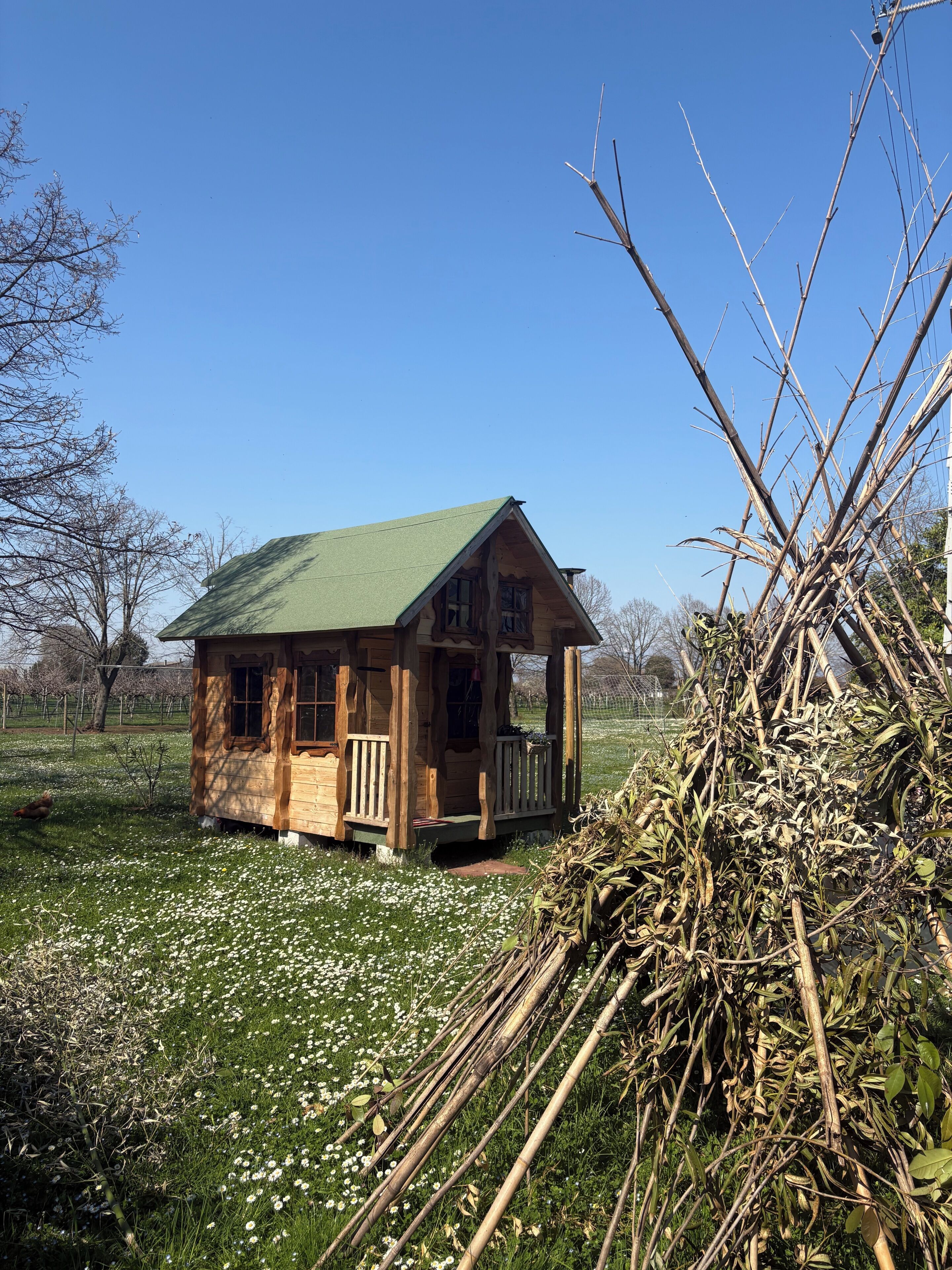 Studio Familial, vue jardin | Extérieur