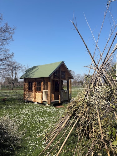 ALLOGGIO AGRITURISTICO ZAMBON