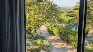 A window view of a garden with palm trees and a paved path. - Mas Palou (El Pla del Penedès)