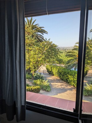 A window view of a garden with palm trees and a paved path.