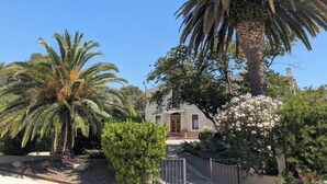 A residential area with palm trees, a house with a brown door, and a garden with flowering plants. - Mas Palou (El Pla del Penedès)