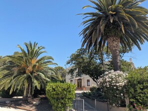 A residential area with palm trees, a house with a brown door, and a garden with flowering plants.