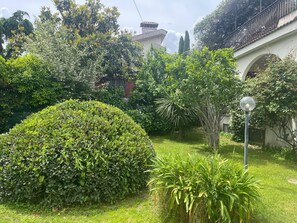 Parco della struttura